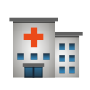 Telehealth Services Icon